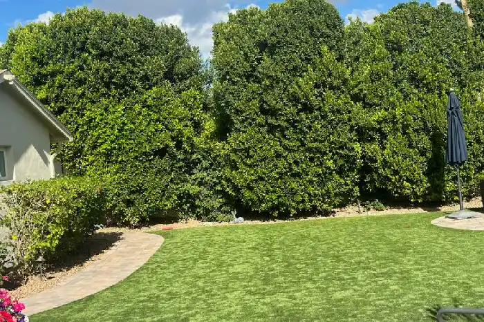 Affordable Landscape Maintenance