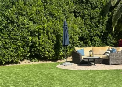 Excellent Landscape Maintenance
