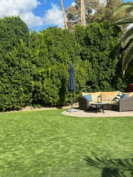 Excellent Landscape Maintenance