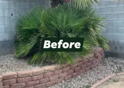 Landscape Maintenance Before