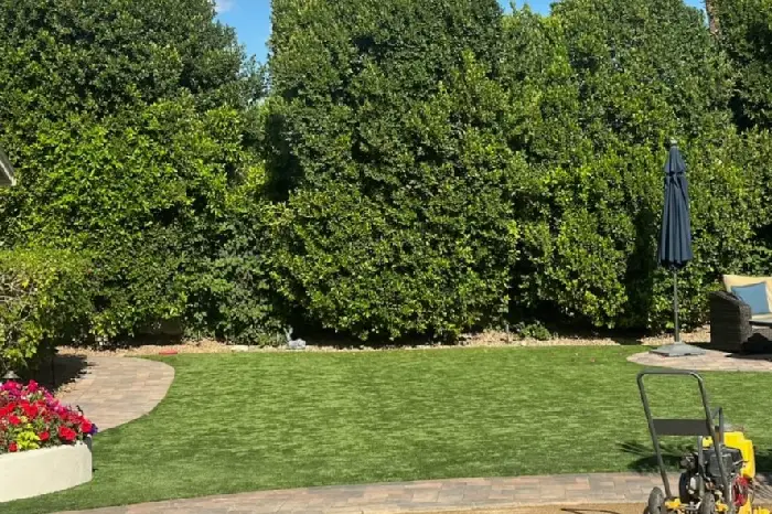 Landscape Maintenance