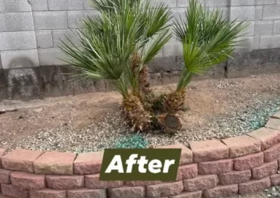 Landscape Services After
