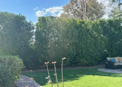 Proficient Landscape Maintenance