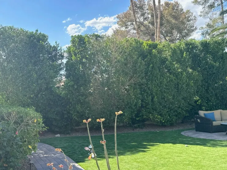 Proficient Landscape Maintenance