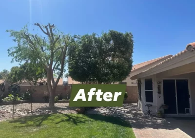 Raywood Landscaping LLC (1)