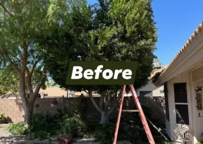 Raywood Landscaping LLC (2)