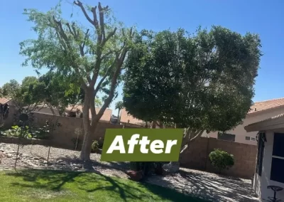 Raywood Landscaping LLC (3)