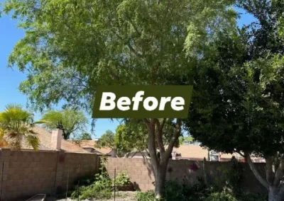 Raywood Landscaping LLC (4)