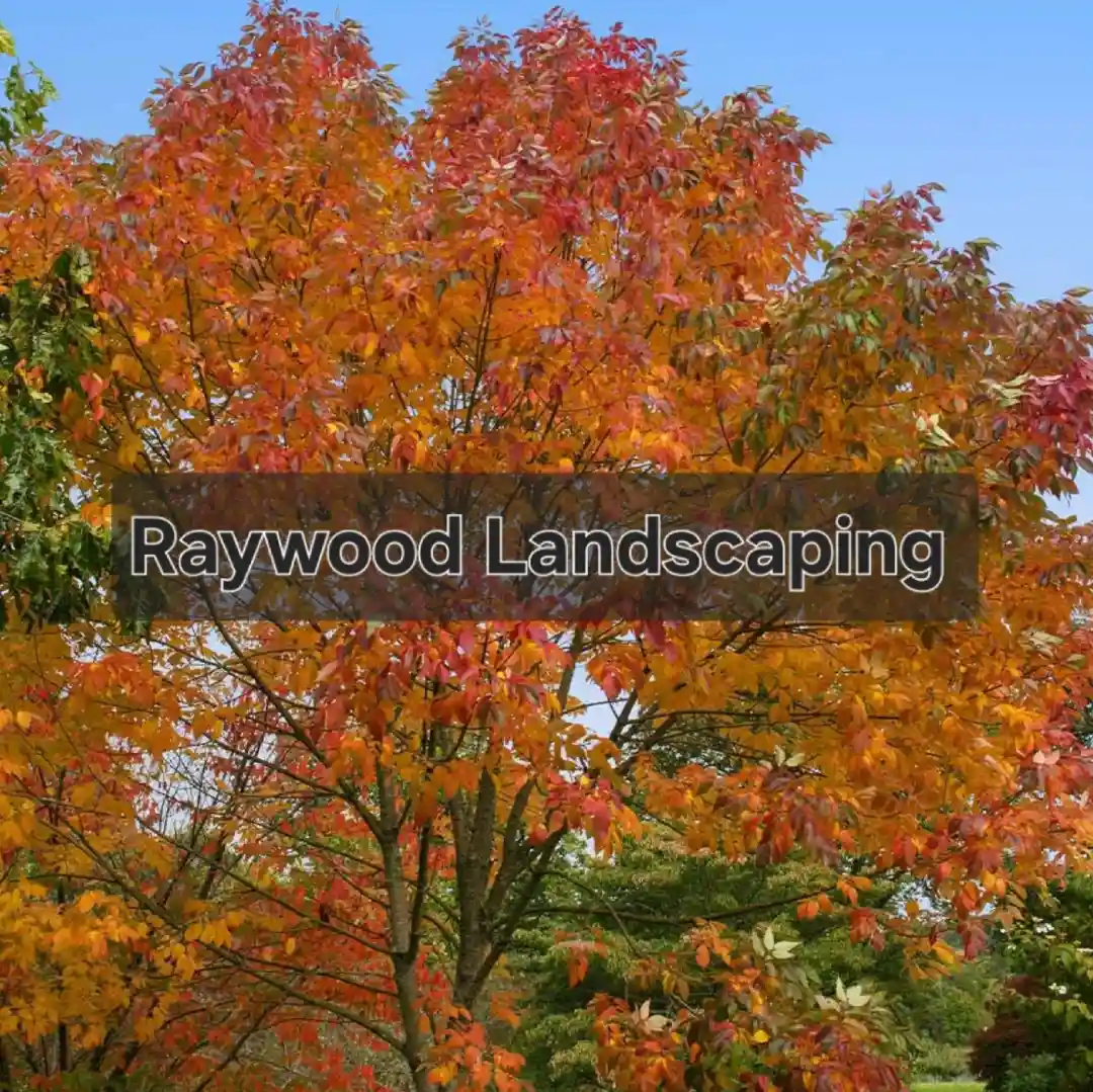 Raywood Landscaping LLC