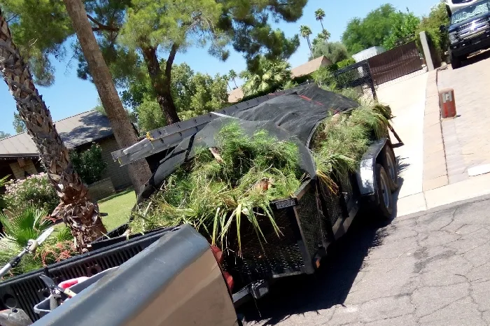 Raywood Landscaping LLC's Other Services